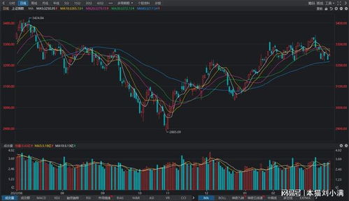 A股震荡锂矿产品现反弹