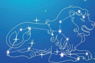 狮子座爱上一个人的表现：炽烈宣言与隐藏的温柔，解码狮子座爱上的十种高光时刻