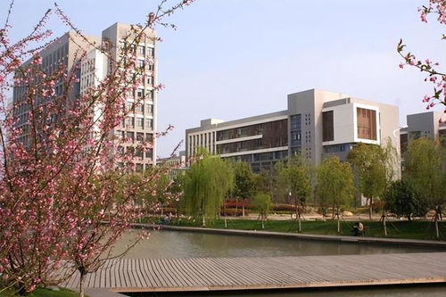 合肥学院（合肥学院什么时候改名合肥大学）