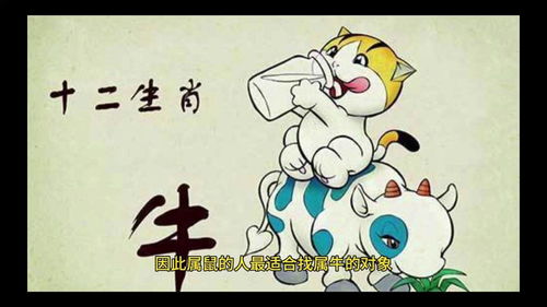 72年鼠49岁的姻缘：1972年属鼠人49岁姻缘解析，中年情路如何修成正果？