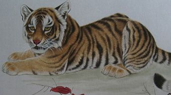 属虎人命里带二婚：属虎人命理中的二婚机遇，性格特质与命运转折的深层解析