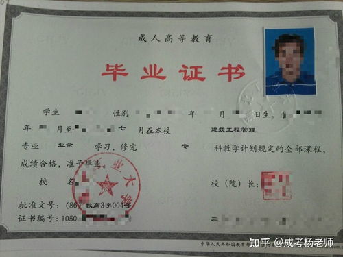 300分浙江能上大专吗（浙江300分的大专有必要读吗）