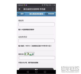 全国成考录取查询入口（全国成考录取查询入口微信）