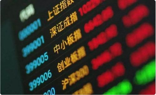 山金国际：累计回购公司股份1834929股