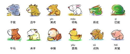 生肖每日运势：生肖每日运势全解析，从鼠到猪，你的运势指南来了！