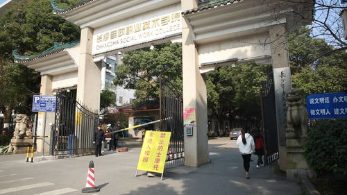 塔罗牌他会宠你一辈子吗：塔罗牌，他会宠你一辈子吗？神秘学与现实的平衡解读