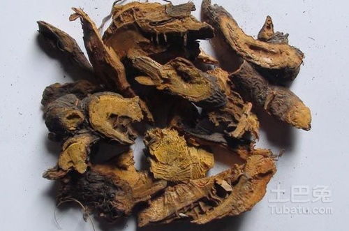 地骨皮功效作用与主治：地骨皮，清热凉血、祛风除湿的中药宝库