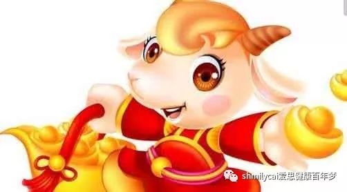 属猪和属龙的姻缘好吗：属猪和属龙的姻缘，是否适合在一起？