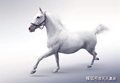 66年属马人结婚吉日：1966年属马人结婚吉日，传统命理与现代婚期选择指南