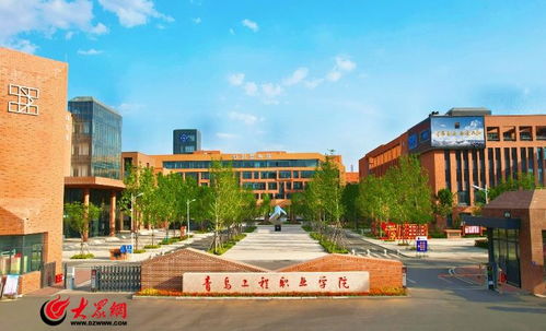 青岛职业学院（青岛职业学院地址在哪里）