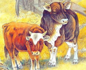 85年属牛的海中金命的女人：85年属牛的海中金命女性，坚韧如金，福泽绵长的人生启示