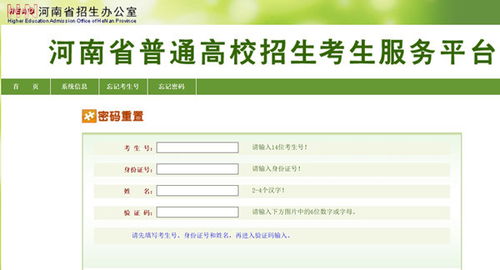 河南省招生办公室网站（河南省招生办公室网站首页）