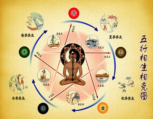 免费八字算寿终:八字命理,探索传统命理学中的寿命推算 免费八字算寿终:八字命理,探索传统命理学中的寿命推算