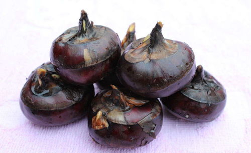 马蹄荸荠：马蹄荸荠，清甜多汁的水中珍珠