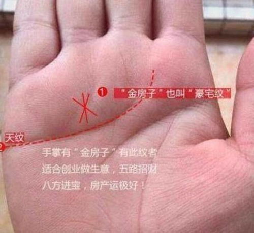 女人有大财的手纹：手相解码，女性手纹中的财富密码与财富管理智慧
