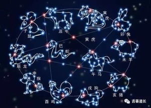 12星座最般配的星座是哪些：12星座黄金配对指南，从灵魂共鸣到现实相守的星座最佳拍档