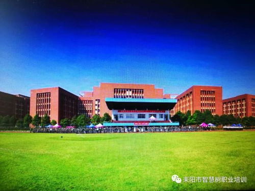 湖南招生信息网官网（湖南招生信息网官网入口有哪些本科学校）