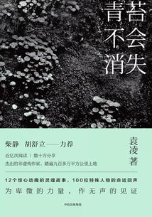 梦见死去的人还活着：生死之间的对话，当梦境与现实重叠的哲学启示