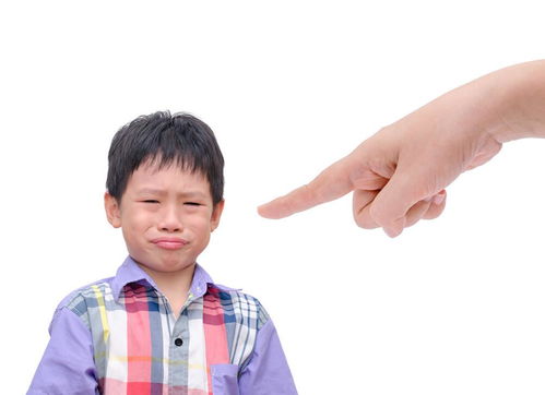 发际线后移怎么养回来：发际线后移怎么养回来？这些方法或许有效