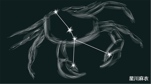 哪个星座最像日本人:水象星座,日本人的性格密码与星象共鸣 哪个星座最像日本人:水象星座,日本人的性格密码与星象共鸣