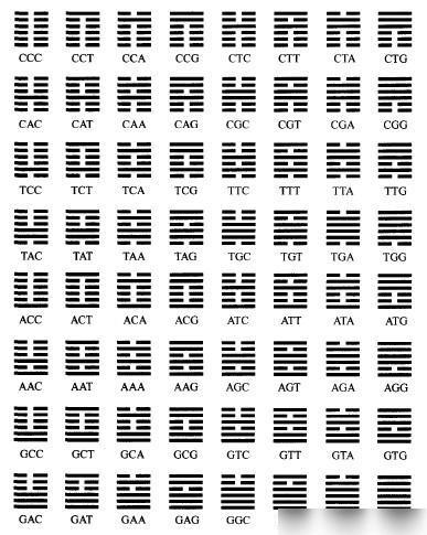 64卦详解：易经64卦详解，破解千年智慧密码的哲学图谱