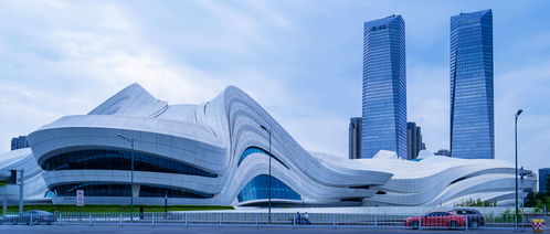 学国际商务后悔死了（学国际商务好吗）