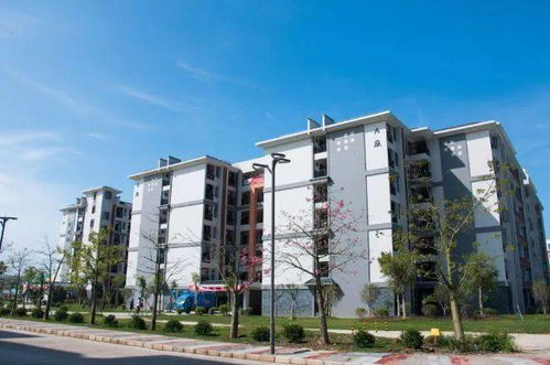 广东岭南职业技术学院招生网（广东岭南职业技术学院招聘会）