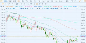 美股异动丨特斯拉涨超3% 10月欧洲销量再陷低谷 法国成唯一亮点