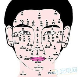 女人五官面相图解大全:精准解析女性五官面相图解大全,从骨骼到气韵看命运密码与美学密码