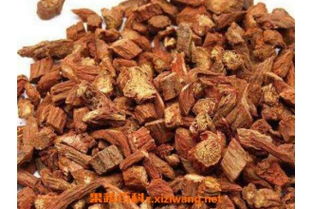 丹参的功效与作用禁忌：丹参，传统中药的养生宝库与安全使用指南