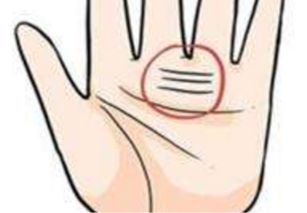 先穷后富的手相:从掌纹看人生起伏,先穷后富的手相特征与逆袭密码 先穷后富的手相:从掌纹看人生起伏,先穷后富的手相特征与逆袭密码