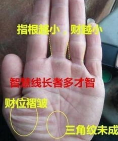 先穷后富的手相:从掌纹看人生起伏,先穷后富的手相特征与逆袭密码 先穷后富的手相:从掌纹看人生起伏,先穷后富的手相特征与逆袭密码