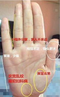 从手相中看姻缘准不准:揭秘手相中的姻缘密码,准还是不准? 从手相中看姻缘准不准:揭秘手相中的姻缘密码,准还是不准?