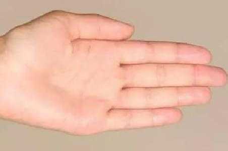 从手相中看姻缘准不准:揭秘手相中的姻缘密码,准还是不准? 从手相中看姻缘准不准:揭秘手相中的姻缘密码,准还是不准?