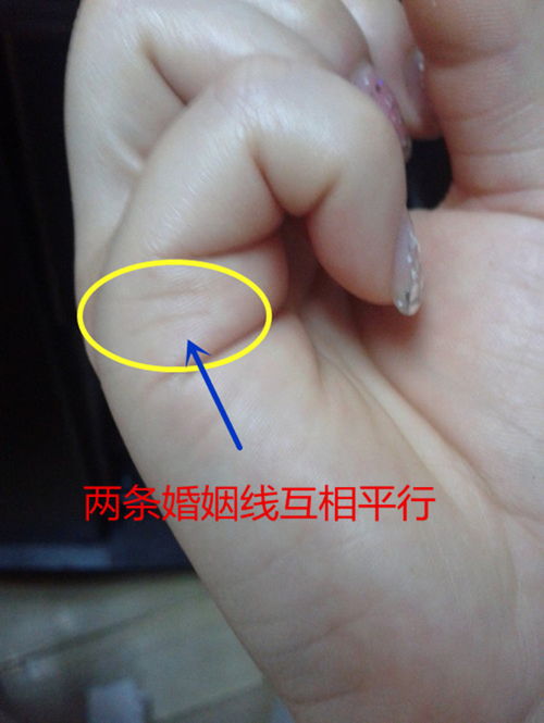 从手相中看姻缘准不准:揭秘手相中的姻缘密码,准还是不准?