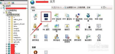 php能在手机上运行吗：PHP能在手机上运行吗？全面解析PHP在移动设备上的应用