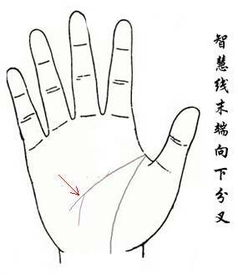 姻缘线怎样才算是分叉的:姻缘线如何分叉?解读命运与情感的微妙转折