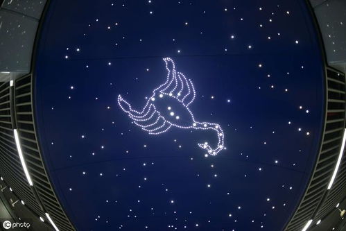 白羊座为什么被称为极品星座:白羊座,天生的王者基因,为何被称作十二星座中的极品存在?