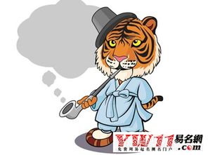 属虎人2020年运势：属虎人2020年运势解析，吉凶相依，破局有方