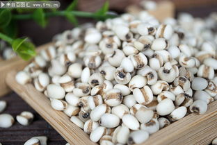 薏苡仁图片:薏苡仁图片,认识与选购的视觉指南