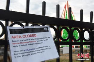 谷歌母公司字母表公司拟发行美元债与欧元债