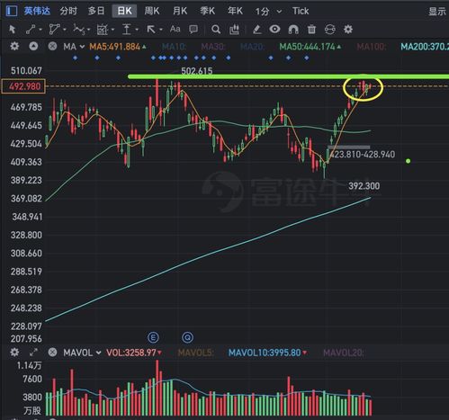 11月4日美股成交额前20：机构预测英伟达市值将达8.5万亿美元