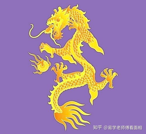 龙牛结婚吉日有哪些生肖:龙年与牛年婚配指南,最适合结婚的生肖组合