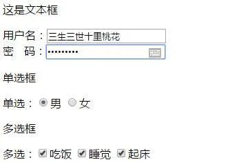 input是单标签还是双标签:input标签是单标签还是双标签? input是单标签还是双标签:input标签是单标签还是双标签?