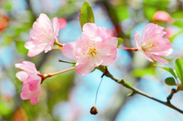 十二星座考上大学排名：十二星座高考状元榜，学霸属性与报考方向全解析