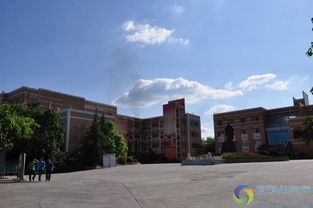 50到60岁的梦到狗要发财:梦到狗预示着财富?50-60岁老人的幸运信号