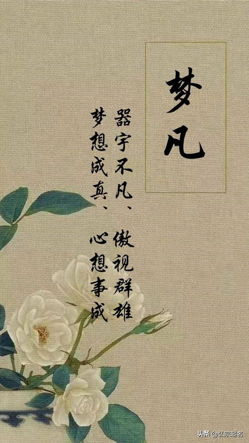 怎么取名字对宝宝一生有益:如何为宝宝起名,吉祥寓意的文化传承与科学方法