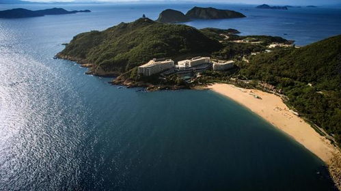 东澳岛姻缘树在哪里:东澳岛姻缘树在哪里?浪漫祈福胜地全攻略!