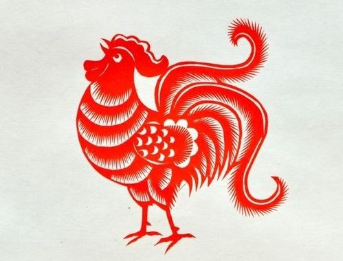 属鸡人人生中的几次姻缘：属鸡人一生中的几次姻缘，揭秘命理与情感的交织