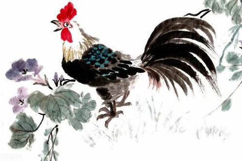 属鸡人人生中的几次姻缘：属鸡人一生中的几次姻缘，揭秘命理与情感的交织